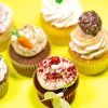 Dozen cupcakes